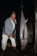 James Rasmussen med 74kg blåfinnet tun fanget med en kroatisk fiskeguide; Vladimir i samme periode som vi fiskede dernede. Han fangde 3 store tun over 5 dages fiskeri.
