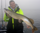 Niels Godsk med fin lang efterårs gedde fisken vejede mellem 7-8kg