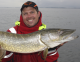 108cm fisk på 9-10kg fanget efteråret 2013 Rügen. Gedden tog en 15cm Lunker City Shaker shad 15cm Rootbeer