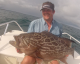 Fin Bromtail Grouper fra Panama 2013 - fisken svømmedebort kort efter billedet var taget