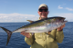 Kim Jensen med YellowFin tun fra Panama 2013