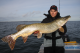 Robert Balkow med flot Brakvandsgedde fra Tyske Rügen - fisken målte 112cm og blev skudt til 11-12kg.